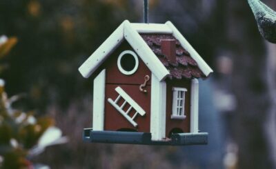 Tips for Choosing Home Insurance