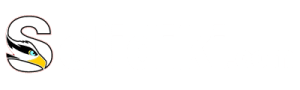 selidikinews-logo